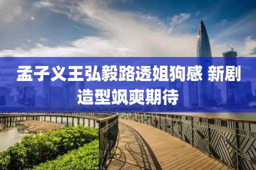 孟子義王弘毅路透姐狗感 新劇造型颯爽期待液壓動(dòng)力機(jī)械,元件制造
