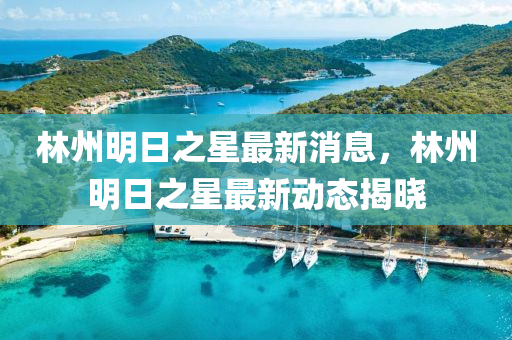 林州明液壓動(dòng)力機(jī)械,元件制造日之星最新消息，林州明日之星最新動(dòng)態(tài)揭曉