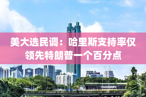 美大選民調(diào)：哈里斯支液壓動(dòng)力機(jī)械,元件制造持率僅領(lǐng)先特朗普一個(gè)百分點(diǎn)