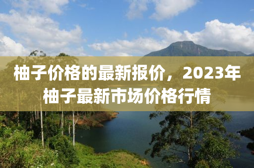 柚子價格液壓動力機械,元件制造的最新報價，2023年柚子最新市場價格行情