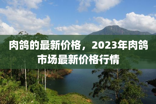 肉鴿的最新價(jià)格，2023年肉鴿市場(chǎng)最新價(jià)液壓動(dòng)力機(jī)械,元件制造格行情