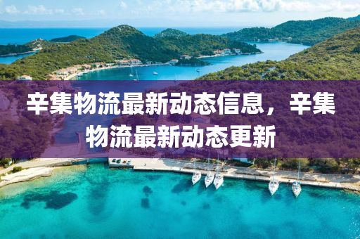 辛集物液壓動力機械,元件制造流最新動態(tài)信息，辛集物流最新動態(tài)更新