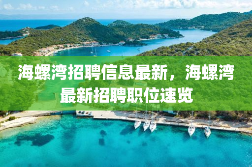 海螺灣招聘信息最新，海螺灣最新招聘職位速覽液壓動(dòng)力機(jī)械,元件制造