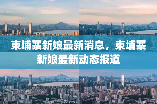 柬埔寨新娘最新消息，柬埔寨新液壓動力機械,元件制造娘最新動態(tài)報道