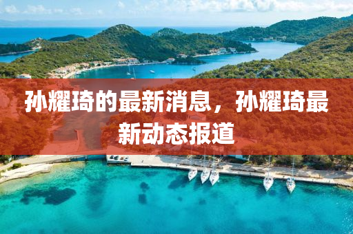 孫耀琦的最新消息，孫耀琦最新動態(tài)報道液壓動力機(jī)械,元件制造