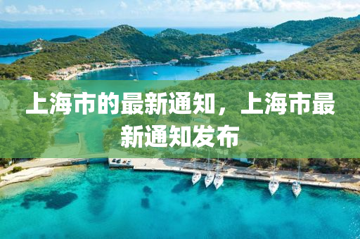 上海市的最新通知，上海市最新通知發(fā)布液壓動力機械,元件制造