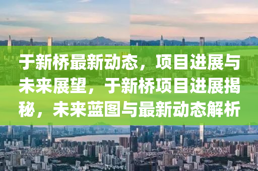 于新橋最新動態(tài)，項目進展與未來展望，于新橋項目進展揭秘，未來藍圖與最新動態(tài)解析液壓動力機械,元件制造