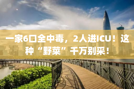 一家6口全中毒，2人進ICU！這種“野菜”千萬別液壓動力機械,元件制造采！