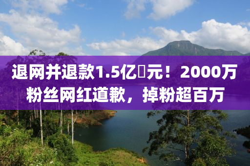 2025年4月11日 第28頁