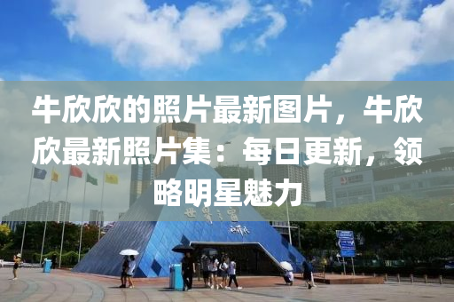 牛欣欣的照片最新圖片，牛欣欣最新照片集：每日更新，領(lǐng)略明星魅力液壓動力機械,元件制造
