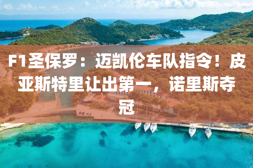 F1圣保羅：邁凱倫車隊指令！皮亞斯特里讓出第一，諾里斯奪冠液壓動力機械,元件制造