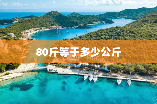 80斤等于多少公斤液壓動(dòng)力機(jī)械,元件制造