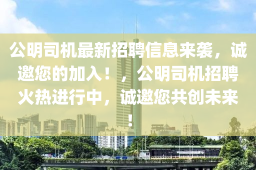 公明司機最新招聘信息來襲，誠邀您的加入！，公明司機招聘火熱進行中，誠邀您共創(chuàng)未來！液壓動力機械,元件制造