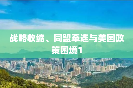 戰(zhàn)略收縮、同盟牽連與美國政策困境1液壓動力機械,元件制造
