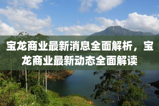 寶龍商業(yè)最新消息全面解析，寶龍商業(yè)最新動態(tài)全面解讀液壓動力機械,元件制造