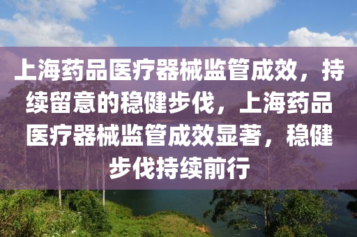 上海藥品醫(yī)療器械監(jiān)管成效，持續(xù)留意的穩(wěn)健步伐，上海藥品醫(yī)療器械監(jiān)管成效顯著，穩(wěn)健步伐持續(xù)前行液壓動(dòng)力機(jī)械,元件制造