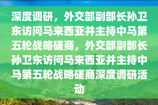 深度調(diào)研，外交部副部長(zhǎng)孫衛(wèi)東訪問(wèn)馬來(lái)西亞并主持中馬第五輪戰(zhàn)略磋商，外交部副部長(zhǎng)孫衛(wèi)東訪問(wèn)馬來(lái)西亞并主持中馬第五輪戰(zhàn)略磋商深度調(diào)研活動(dòng)液壓動(dòng)力機(jī)械,元件制造