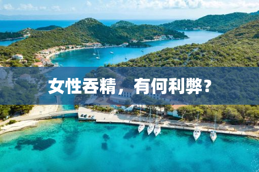 女性吞液壓動力機(jī)械,元件制造精，有何利弊？