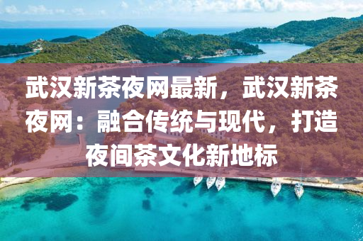 武漢新茶夜網(wǎng)最新，武漢新茶夜網(wǎng)：融液壓動力機(jī)械,元件制造合傳統(tǒng)與現(xiàn)代，打造夜間茶文化新地標(biāo)