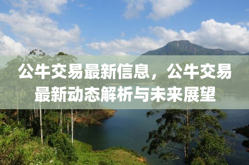 公牛交易最新信息，公牛交易最新動態(tài)解析與未來展望液壓動力機械,元件制造