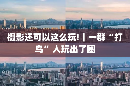攝影還可以這么玩!｜一群“打鳥(niǎo)”人玩出了圈液壓動(dòng)力機(jī)械,元件制造