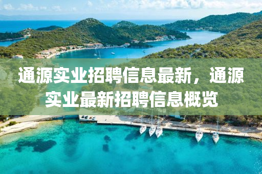 通源實(shí)業(yè)招聘信息最新，通源實(shí)業(yè)最新招聘信息概覽液壓動(dòng)力機(jī)械,元件制造
