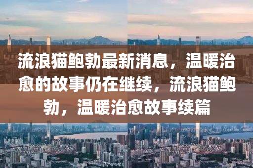 流浪貓鮑勃最新消息，溫暖治愈的故事仍在繼續(xù)，流浪貓鮑勃，溫暖治愈故事續(xù)篇液壓動力機械,元件制造