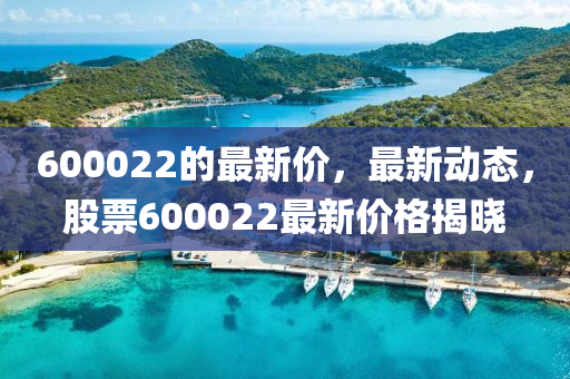 600022的最新價(jià)，最新動態(tài)，股票600022最新價(jià)格揭曉液壓動力機(jī)械,元件制造