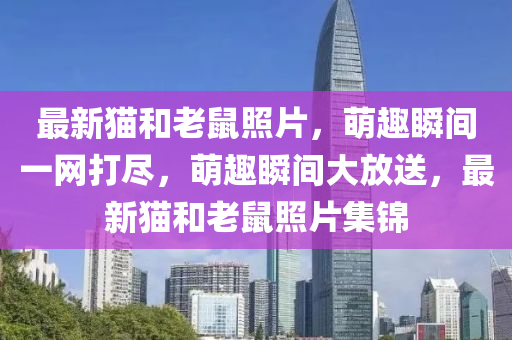 2025年4月13日 第32頁