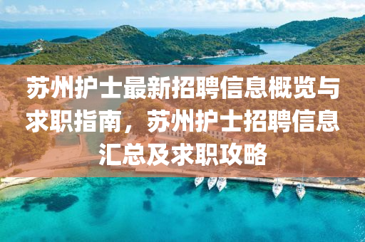 蘇州護(hù)士最新招聘信息概覽與求職指南，蘇州護(hù)士招聘信息匯總及求職液壓動力機(jī)械,元件制造攻略