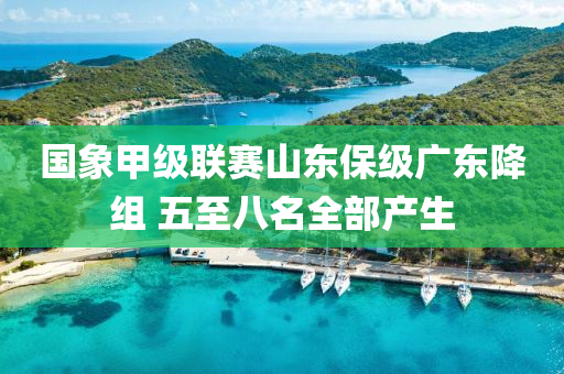 國象甲級(jí)聯(lián)賽山東保級(jí)廣東降組 五至八名全部產(chǎn)生液壓動(dòng)力機(jī)械,元件制造