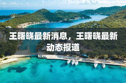 王曙曉最新消息，王曙曉最新動態(tài)液壓動力機械,元件制造報道