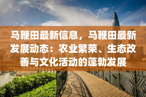 馬鞭田最新信息，馬鞭田最新發(fā)展動(dòng)態(tài)：農(nóng)業(yè)繁榮、生態(tài)改善與文化活動(dòng)的蓬勃發(fā)展液壓動(dòng)力機(jī)械,元件制造