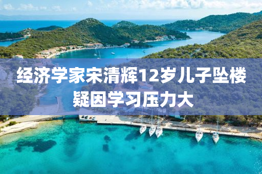 經(jīng)濟(jì)學(xué)家宋清輝12歲兒子墜樓 疑因?qū)W習(xí)液壓動(dòng)力機(jī)械,元件制造壓力大