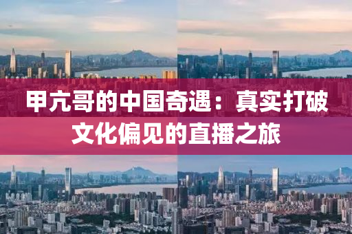 甲亢哥的中國奇遇：真實(shí)打破文化偏見的直播之旅液壓動(dòng)力機(jī)械,元件制造