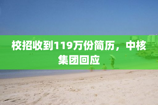校招收到119萬份簡歷，中核集團(tuán)回應(yīng)液壓動力機械,元件制造