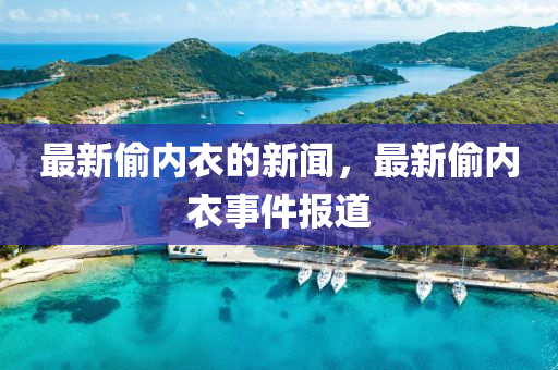 最新偷內(nèi)衣的新聞，液壓動力機(jī)械,元件制造最新偷內(nèi)衣事件報(bào)道
