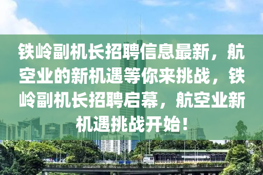 鐵嶺副機(jī)長(zhǎng)招聘信息最新，航空業(yè)的新機(jī)遇等你來(lái)挑戰(zhàn)，鐵嶺副機(jī)長(zhǎng)招聘啟幕，航空業(yè)新機(jī)遇挑戰(zhàn)開(kāi)始！液壓動(dòng)力機(jī)械,元件制造