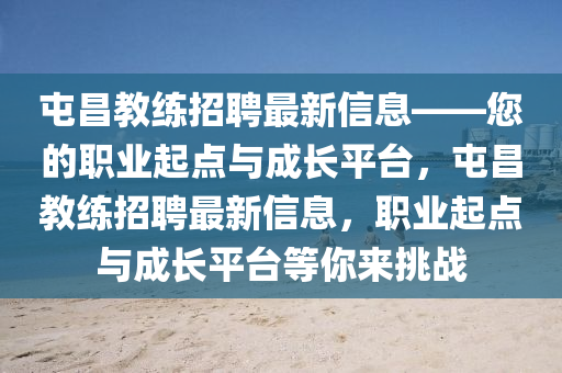 屯昌教練招聘最新信息——您的職業(yè)起點與成長平臺，屯昌教練招聘最新信息，職業(yè)起點與成長平臺等你來挑戰(zhàn)液壓動力機(jī)械,元件制造