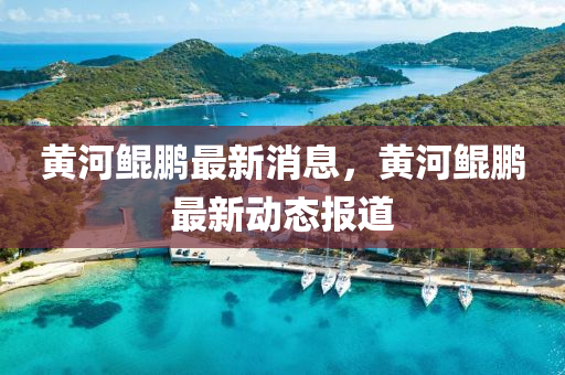 黃河鯤鵬最液壓動力機械,元件制造新消息，黃河鯤鵬最新動態(tài)報道