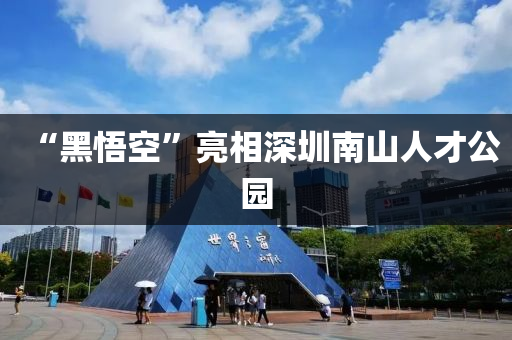 “黑悟空”亮相深圳南山人才公園液壓動力機械,元件制造