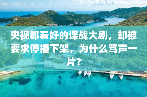 央視都看好的諜戰(zhàn)大劇，卻被要求停播下架，為什么罵聲一片？液壓動力機械,元件制造