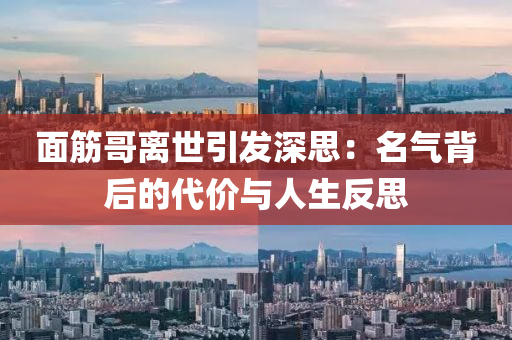 面筋哥離世引發(fā)深思：名氣背后的代價(jià)與人生反思液壓動(dòng)力機(jī)械,元件制造