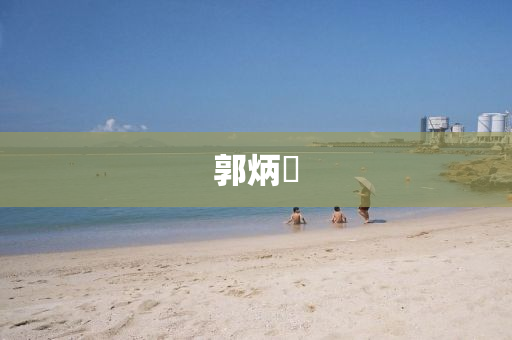 郭炳焜液壓動(dòng)力機(jī)械,元件制造