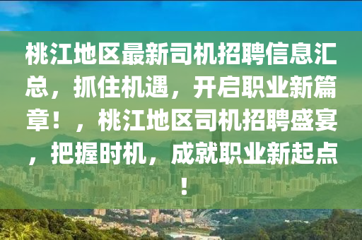 桃江地區(qū)最新司機(jī)招聘信息匯總，抓住機(jī)遇，開啟職業(yè)新篇章！，桃江地區(qū)司機(jī)招聘盛宴，把握時(shí)機(jī)，成就職業(yè)新起點(diǎn)！液壓動力機(jī)械,元件制造