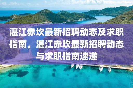 湛江赤坎最新招聘動(dòng)態(tài)及求職指南，湛江赤坎最新招聘動(dòng)態(tài)與求職指南速遞液壓動(dòng)力機(jī)械,元件制造