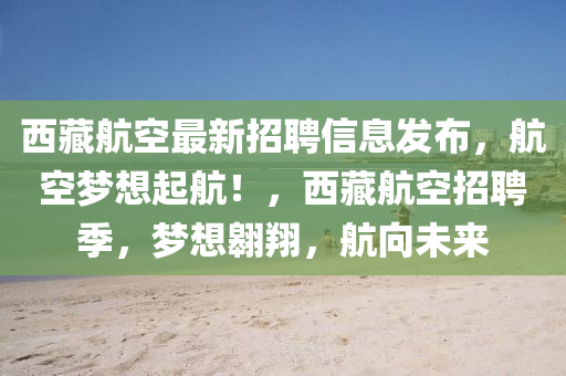 西藏航空最新招聘信息發(fā)布，航空夢想起航！，西藏航空招聘季，夢想翱翔液壓動力機械,元件制造，航向未來