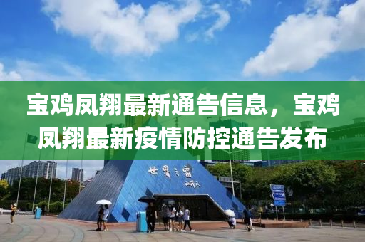 寶雞鳳翔最新通告信息，寶雞鳳翔最新疫情防控通告發(fā)布液壓動力機(jī)械,元件制造