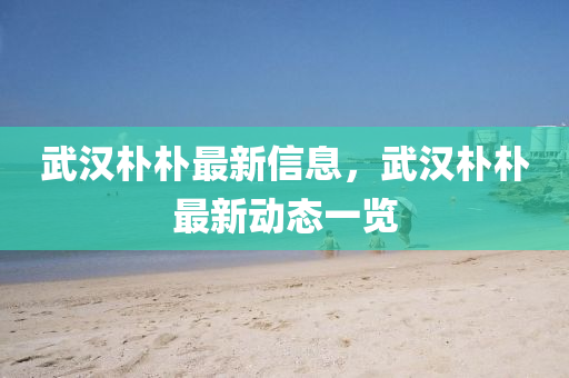 武漢樸樸最新信息，武漢樸樸最新動(dòng)態(tài)一覽液壓動(dòng)力機(jī)械,元件制造
