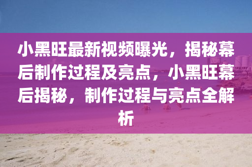 小黑旺最新視頻曝光，揭秘幕后制作過(guò)程及亮點(diǎn)，小黑旺幕后揭秘，制作過(guò)程與亮點(diǎn)全解析液壓動(dòng)力機(jī)械,元件制造